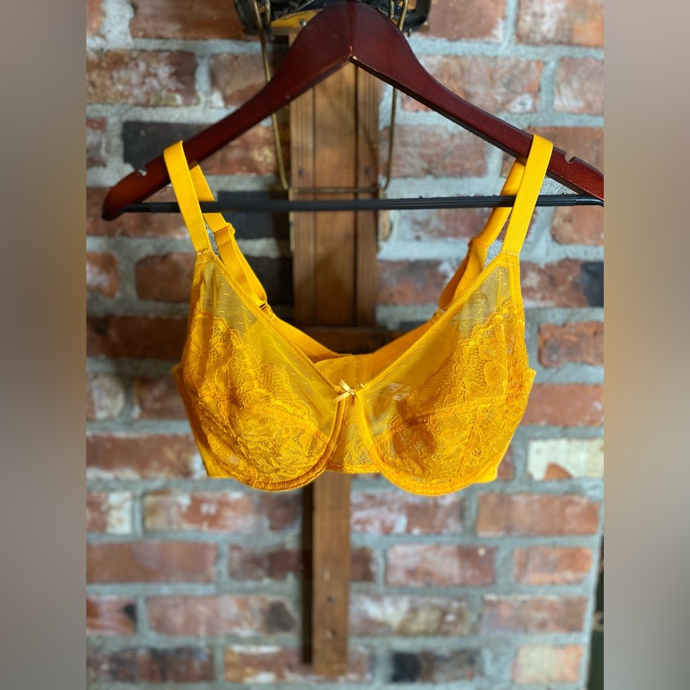 HSIA Enchante Yellow Lace Underwire Bra